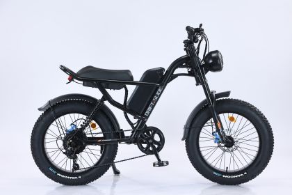 Ebike,750W Motor,48V15.6Ah Battery,20 Inches,Maximum Speed 45KM (Color: Black)