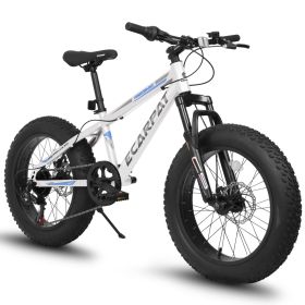 20 inch Fat Tire Bike Teen 7 Speed Mountain Bike, Dual Disc Brakes, High Carbon Steel Frame, Front Suspension, Mountain Dirt Bike (Color: White)